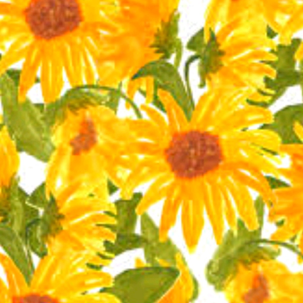 Meet your Posher, Ella